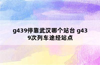 g439停靠武汉哪个站台 g439次列车途经站点